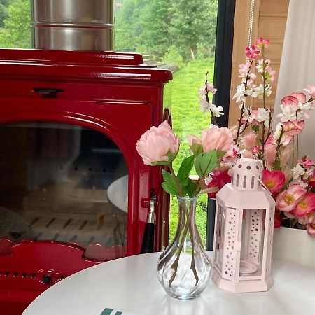 Vagona Tiny House Hotel Rize Kültér fotó